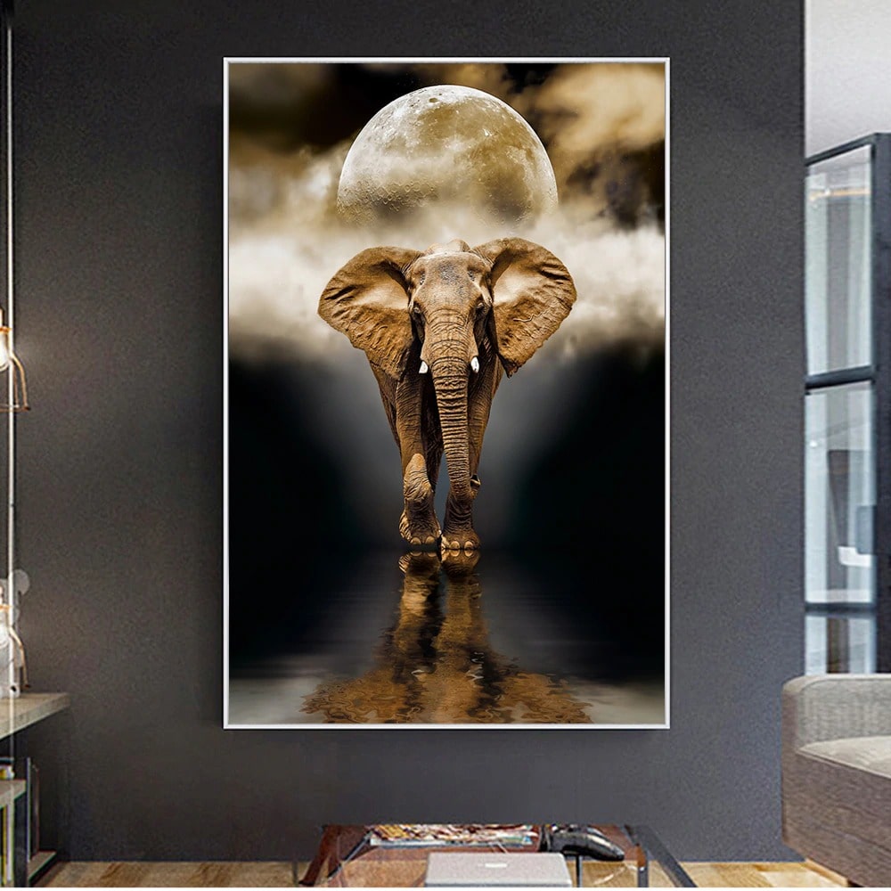 elefant bilder